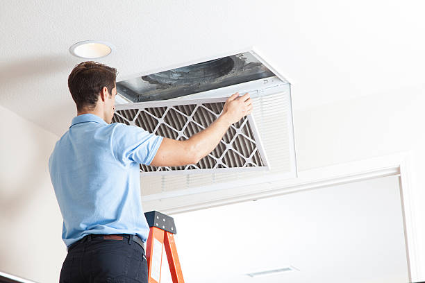 Best Local HVAC Companies  in Temple, TX